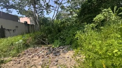 Por brote de dengue, vecinos del Guayacanal en Minatitlán solicitan fumigación
